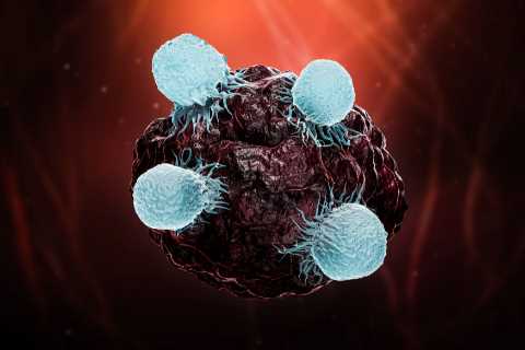 Groundbreaking Discovery in Cancer Treatment Could Revolutionize Targeting Tumors