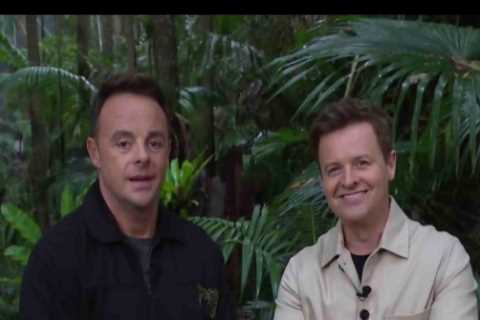 I'm A Celeb's Ant and Dec Concerned About Potential Clash as Two New Campmates Enter the Jungle