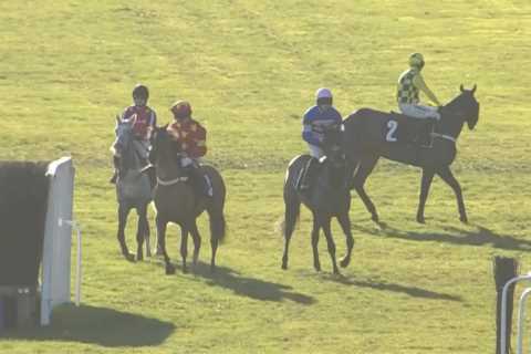Shock at Ascot as Shishkin Refuses to Race, Allowing Rival to Claim Victory