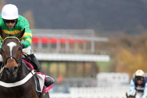 Jumps Racing Programme in Need of Serious Overhaul to Combat Small Fields in Big Weekend Races