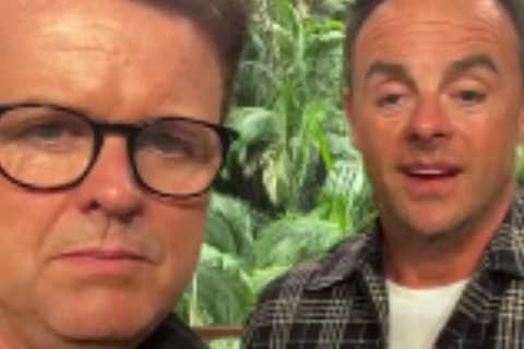 I'm A Celeb's Ant and Dec spill the tea on Nella and Fred's feud