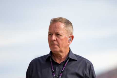 F1 Fans Applaud Martin Brundle After Confrontation with Security Guard