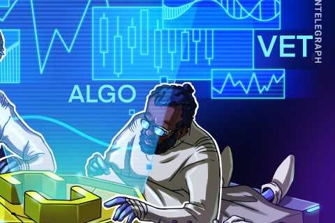 Bitcoin Struggles to Hold Key Level as Other Cryptocurrencies Aim Higher