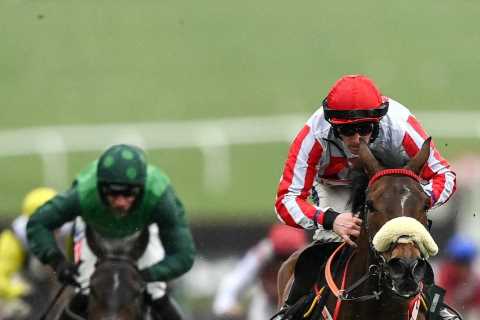 Bookies Fearing Massive King George Gamble as Punters Show Confidence in Gerri Colombe