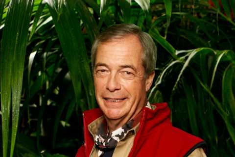 Nigel Farage's Secret French Lover Set to Join Him on I'm A Celebrity, Confirming 6-Year Romance