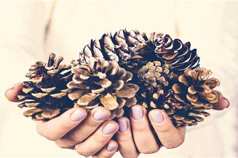 Five Budget-Friendly Tricks to Fill Your Home with Winter Scents