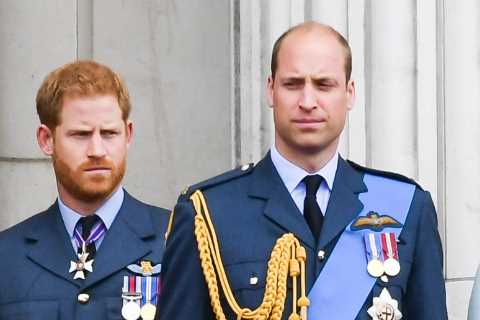 Prince William's Friends Slam Claims Made in Bombshell Book