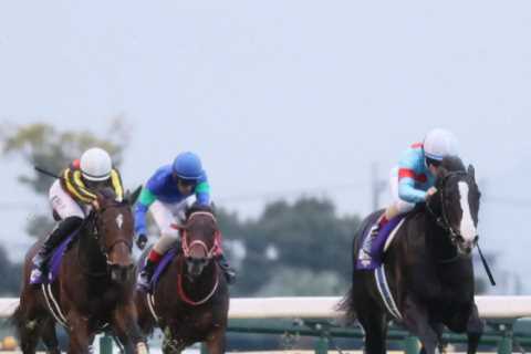 Punters Stunned as World's Best Horse Rakes in £3.1 Million in Spectacular Victory
