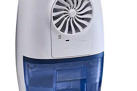 Get Rid of Damp and Mould with this £10 Portable Device