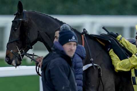 Star Horse Shishkin Breaks 30-Year Record with On-Track Antics
