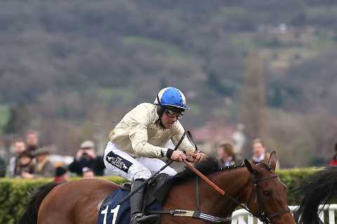 Historic Disqualification: Jockey Goes Over Whip Limit, Horse Loses Race