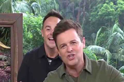 Ant and Dec Respond to Fan Complaints with Cheeky Swipe on I'm A Celeb