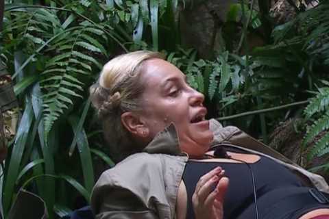 Josie Gibson reveals drunken night out led to botched tattoo