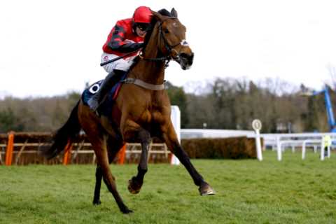 Templegate's Tote Placepot Picks for Coral Gold Cup Day at Newbury