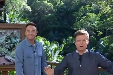 I'm a Celeb's Ant and Dec Take a Swipe at Jamie Lynn Spears and Grace Dent After Their Shock Jungle ..