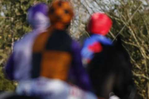 Shishkin Debacle at Ascot: Trainers and Punters Face Pre-Race Woes
