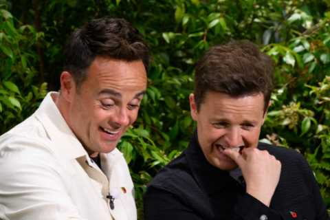 Why Ant and Dec's Watches are Always Covered with Stickers on I'm A Celeb