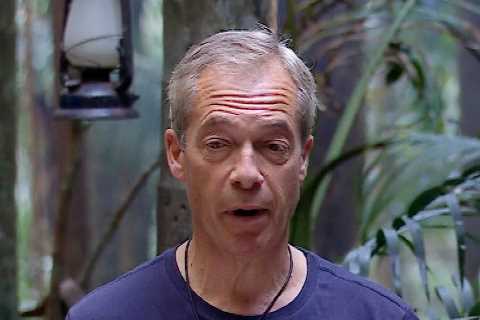 I'm a Celeb Star Nigel Farage's Mum Breaks Silence on His Naked Jungle Showers