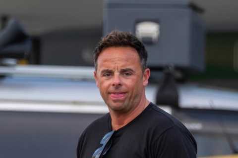 Ant McPartlin takes Declan Donnelly's daughter for an ice cream as hosts enjoy downtime from I'm A..
