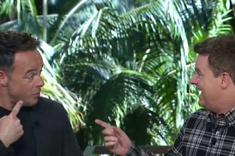 I'm A Celebrity blunder as insect flies into Ant McPartlin’s MOUTH live on air