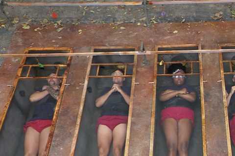 I'm A Celebrity Reveals Date for First Public Vote After Shock Early Exits
