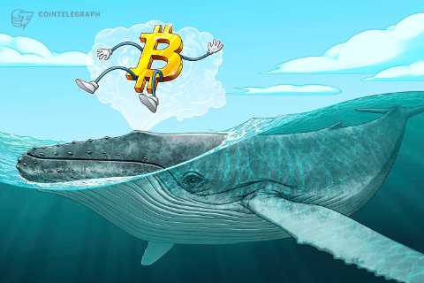 BTC Price Levels to Watch as Bitcoin Whales 'Lure' Market to $42K