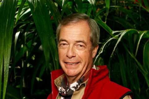 Nigel Farage's Girlfriend Reveals What Life at Home with the Politician is Really Like