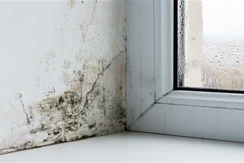 Discover the £3 Hack to Keep Mould Away and Save on Energy Bills
