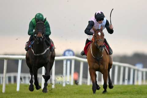 Cheltenham Festival: Teahupoo looks set to be the Stayers' Hurdle banker