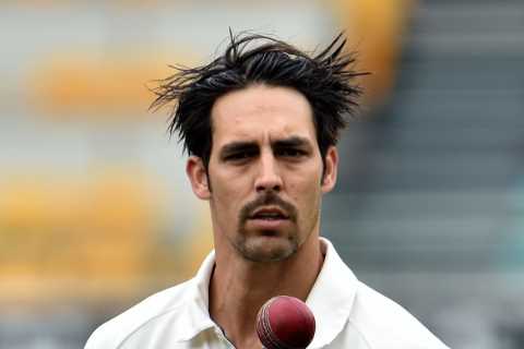 What did Mitchell Johnson say about David Warner?