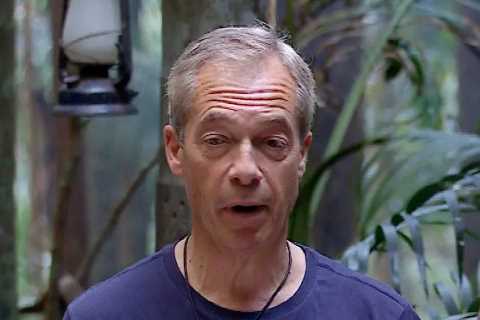 Two I'm A Celeb Feuds Confirmed as Campmates Snub Nigel Farage After Jungle Exit
