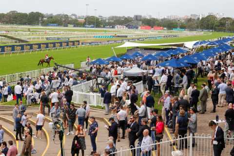 Iconic Racecourse to Be Transformed into Housing Estate, Sparking Outrage