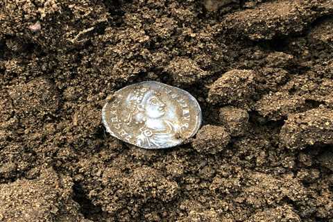 Treasure Hunter Strikes Gold: Roman Coins Found in Norfolk Field Sell for £15,285