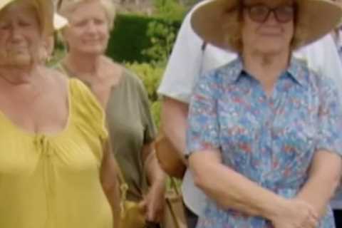 Antiques Roadshow Guest Stunned by Value of Old Tea Cosy and Table Cloth