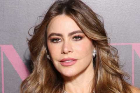 Sofia Vergara Granted Temporary Restraining Order Against Alleged Stalker
