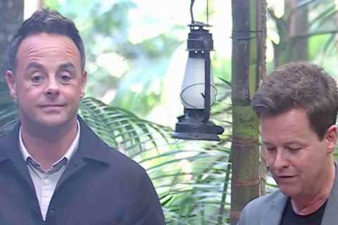 Fans Call for Shake-Up of Stupid Element on I'm A Celebrity
