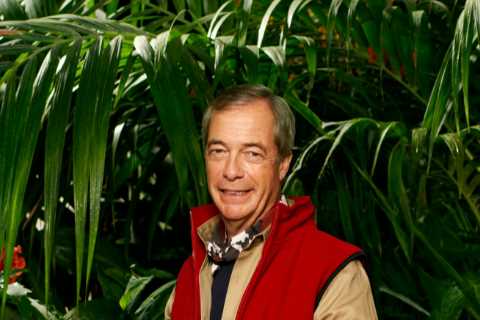 I’m A Celeb in new ‘fix’ row as Nigel Farage’s team accused of ‘fakery’ in desperate bid to help..