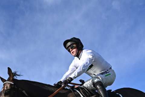 Nicky Henderson Apologizes as Biggest Names Pulled from Tingle Creek Day at Sandown