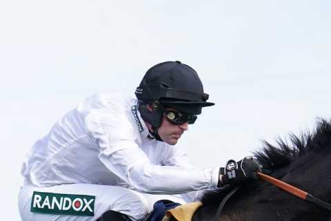 Nicky Henderson and Michael Buckley criticized for using 'welfare' as an excuse to withdraw..