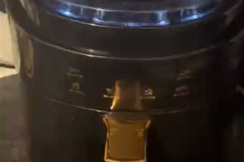 £10 Air Fryer from TikTok Shop Leaves Fans Amazed