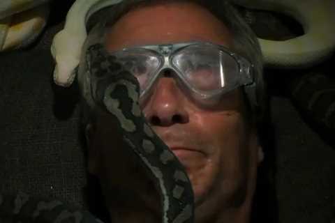 Nigel Farage Overcomes Fear of Snakes in Nail-Biting Bushtucker Trial