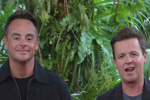 Ant and Dec in 'Secret I'm A Celeb Feud' with Nigel Farage, Say Fans