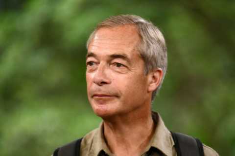 Nigel Farage Slams Rishi Sunak's Rwanda Bill as a Total Joke
