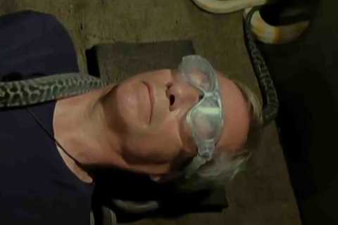 I'm A Celeb Fans Cry Foul as Nigel Farage Gets 'Easiest' Final Trial