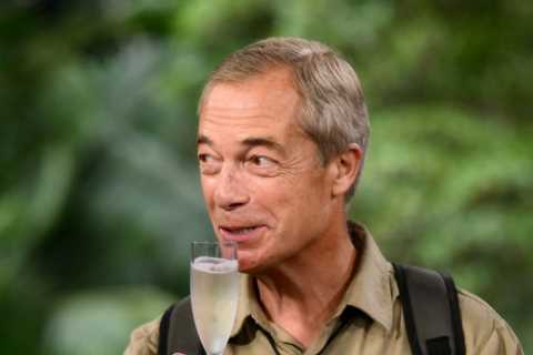 Nigel Farage Reveals Real Age on I'm A Celeb Finale