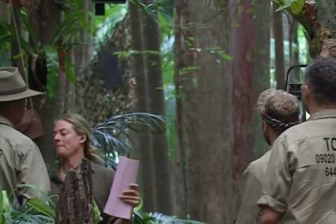 I’m A Celebrity Blunder: Producer Appears in Camp After Nigel Farage Elimination