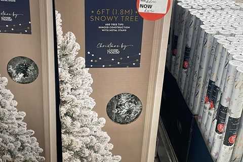 ASDA Shoppers Go Crazy for 50% Off Snowy Christmas Tree