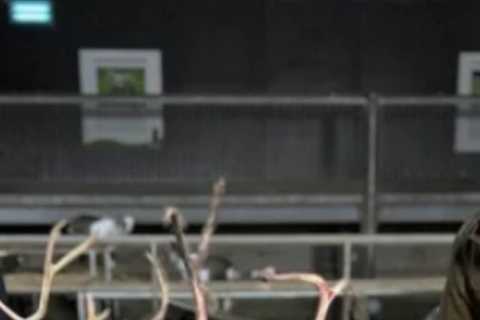 Winter on the Farm: Meet the Hosts of the Heartwarming Channel 5 Show