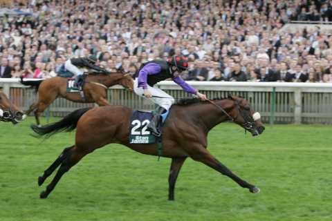 Racing Legend Dandy Man Passes Away at 20