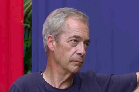 Nigel Farage Tells I'm A Celebrity Bosses to Go to Hell Over Naked Shower